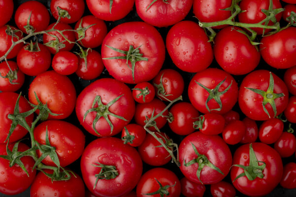 Tomates