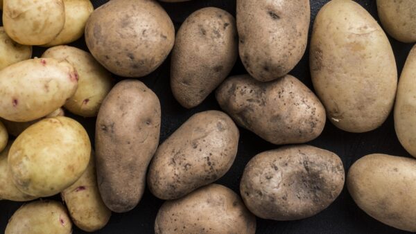 Patates