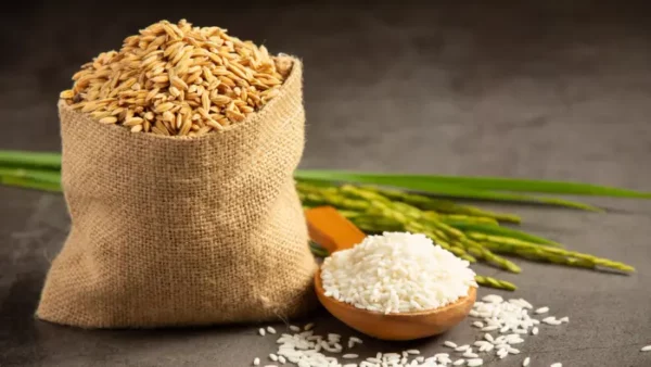 Riz blanc